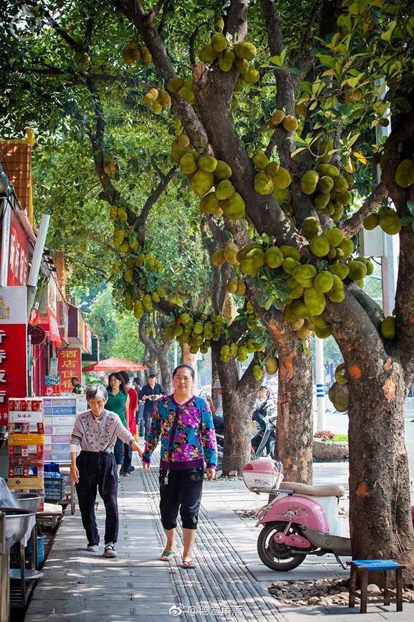 从未被列入旅行清单，它才是云南最好吃的地方！你去过吗？