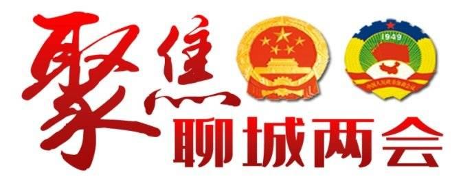 2020年这样干!精简版聊城政府工作报告来了