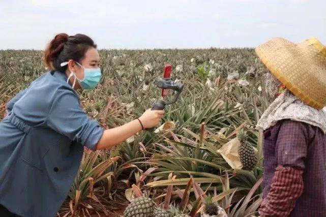 我在村里当主播：去年被当骗子，今年抢着要我帮带货