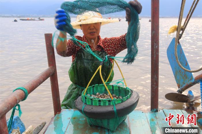 收获满满一篮海货。　吴立高 摄