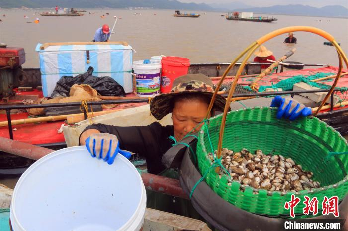 渔民收获满满。　吴立高 摄