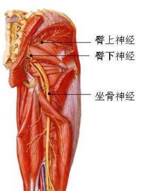 童年阴影：护士姐姐，能不做皮试吗？