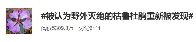 四川发现一株枯鲁杜鹃，曾被认为野外灭绝