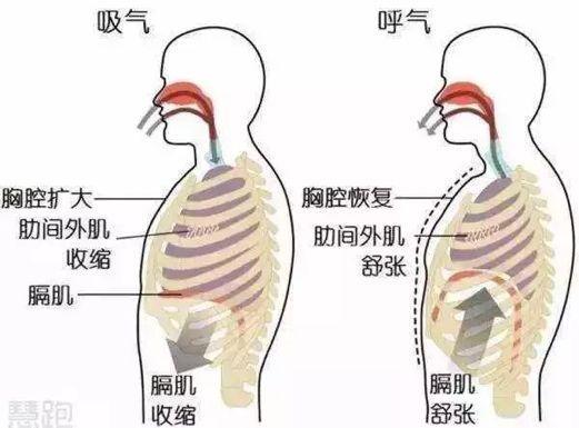 初中生物：知识点梳理和思维导图，初一初二考生必看