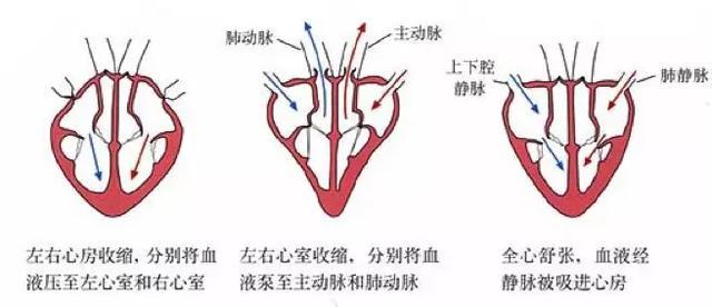初中生物：知识点梳理和思维导图，初一初二考生必看