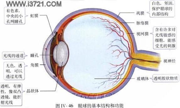 初中生物：知识点梳理和思维导图，初一初二考生必看