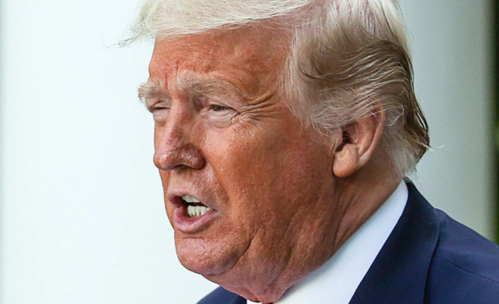 特朗普在白宫玫瑰园发表讲话。/ 《华盛顿邮报》网站截图