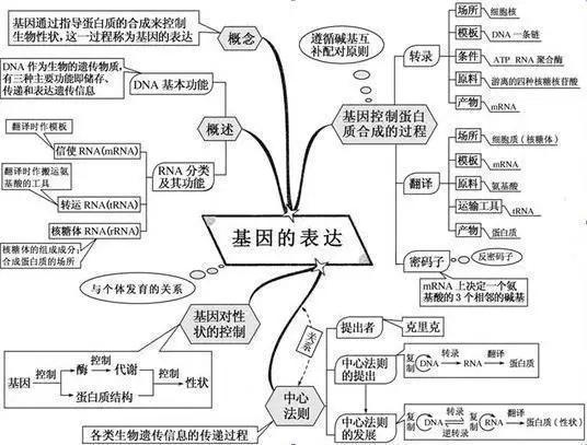 初中生物：知识点梳理和思维导图，初一初二考生必看