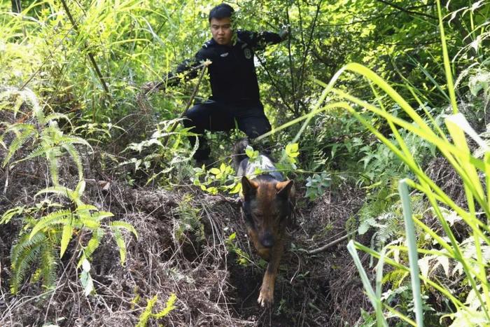 邵阳一男子跟家人吵架带着农药进山，警方搜寻2天，结果...