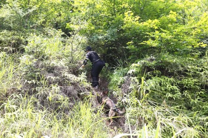 邵阳一男子跟家人吵架带着农药进山，警方搜寻2天，结果...