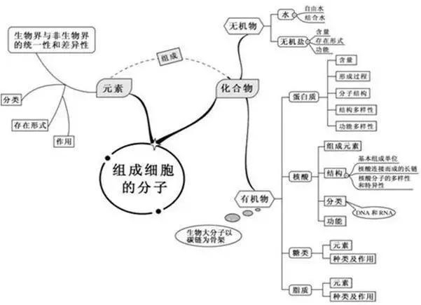 初中生物：知识点梳理和思维导图，初一初二考生必看