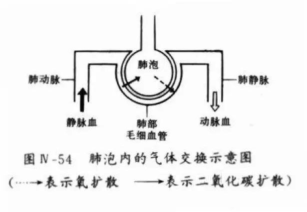 初中生物：知识点梳理和思维导图，初一初二考生必看