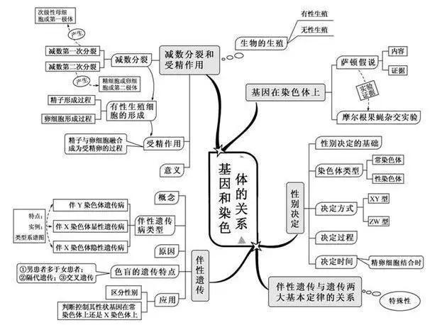 初中生物：知识点梳理和思维导图，初一初二考生必看