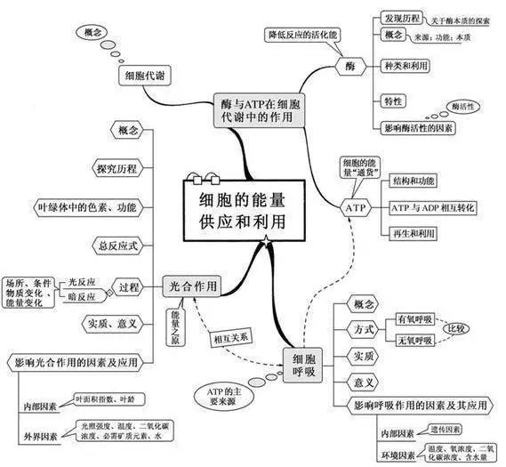 初中生物：知识点梳理和思维导图，初一初二考生必看