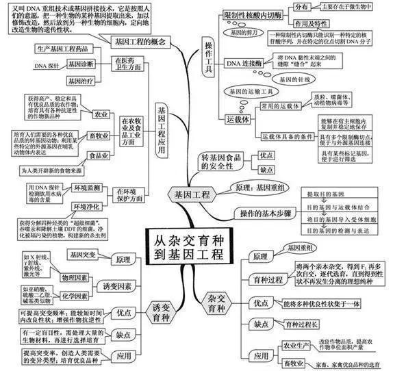 初中生物：知识点梳理和思维导图，初一初二考生必看