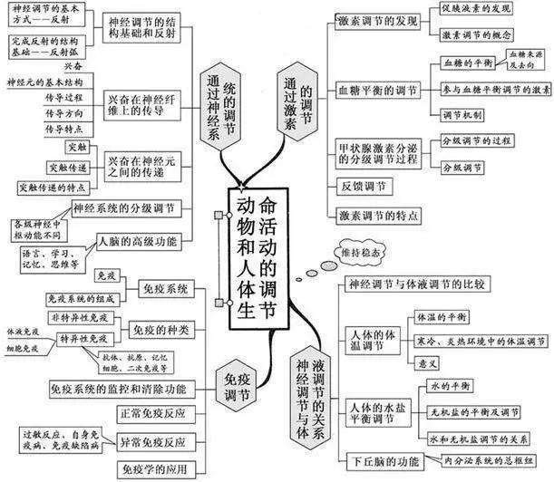 初中生物：知识点梳理和思维导图，初一初二考生必看