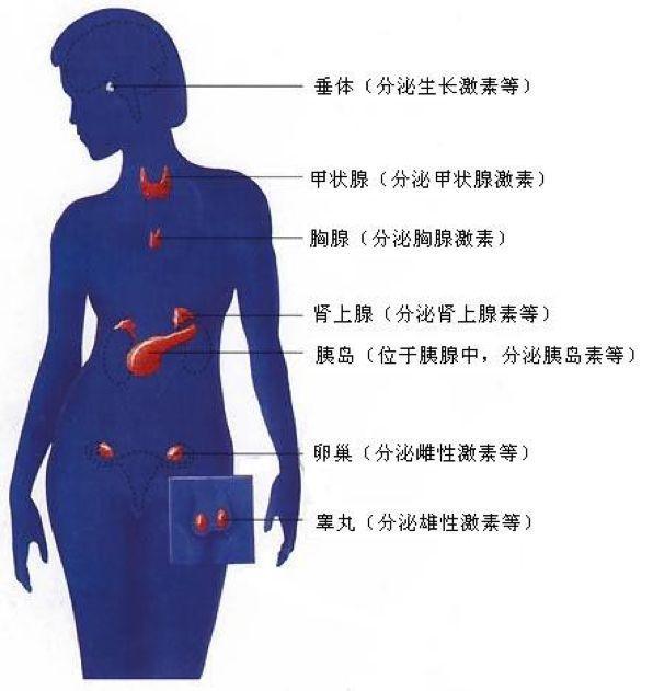 初中生物：知识点梳理和思维导图，初一初二考生必看