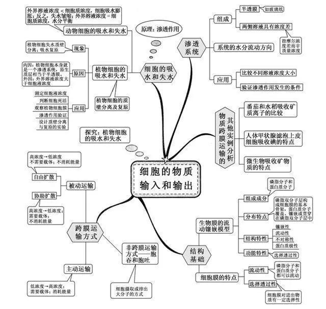 初中生物：知识点梳理和思维导图，初一初二考生必看