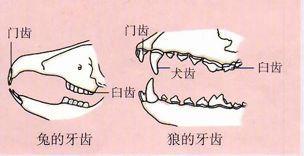 初中生物：知识点梳理和思维导图，初一初二考生必看