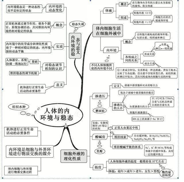 初中生物：知识点梳理和思维导图，初一初二考生必看