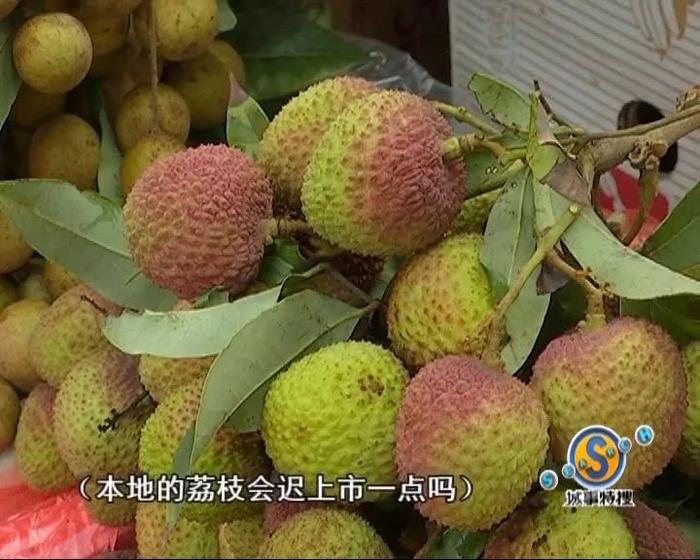 持续雷阵雨，市场菜价有变化……全国新增确诊病例1例！广东无新增！