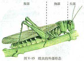 初中生物：知识点梳理和思维导图，初一初二考生必看