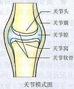 初中生物：知识点梳理和思维导图，初一初二考生必看