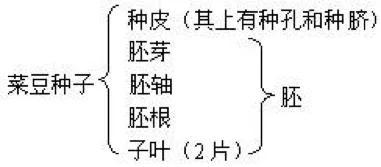 初中生物：知识点梳理和思维导图，初一初二考生必看