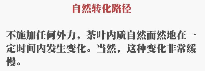 为什么说建水紫陶能创造稳定的微生物转化路径