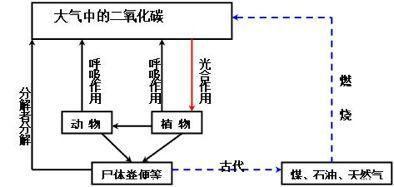 初中生物：知识点梳理和思维导图，初一初二考生必看