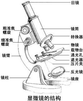 初中生物：知识点梳理和思维导图，初一初二考生必看