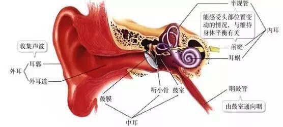初中生物：知识点梳理和思维导图，初一初二考生必看