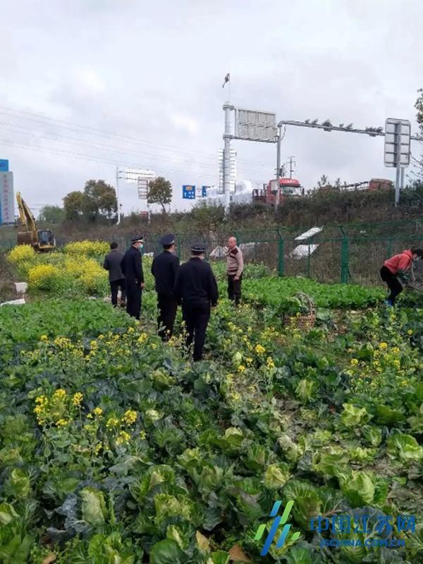 春雷行动之羊尖篇：化身一道春雷 谱写市容赞歌