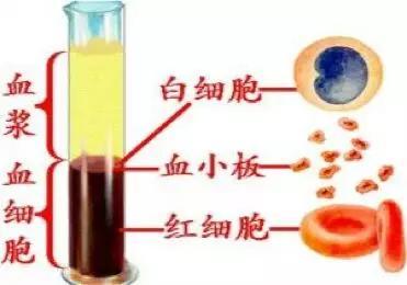 初中生物：知识点梳理和思维导图，初一初二考生必看