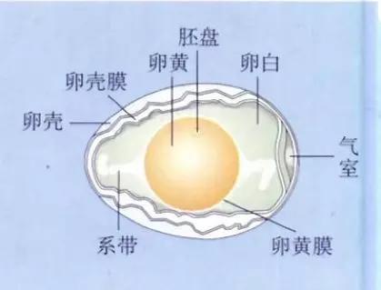 初中生物：知识点梳理和思维导图，初一初二考生必看
