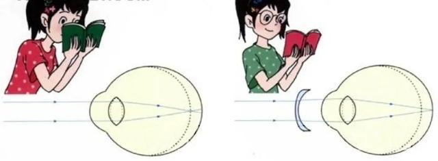 初中生物：知识点梳理和思维导图，初一初二考生必看