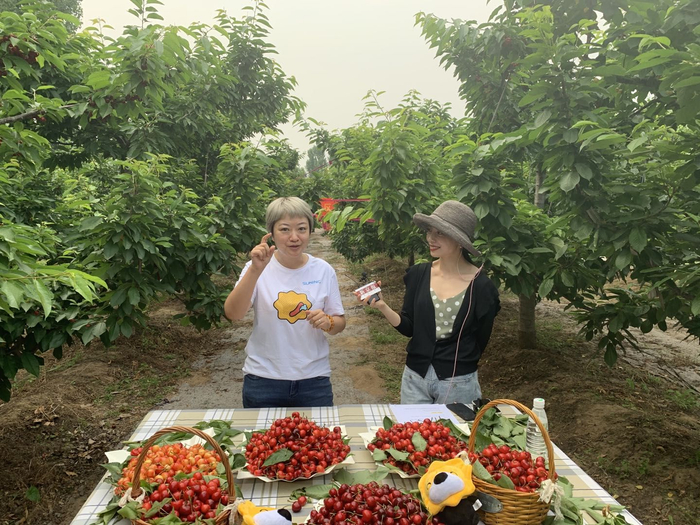 家乐福采购负责人翁远介绍西集樱桃。新京报记者 彭雅莉 摄