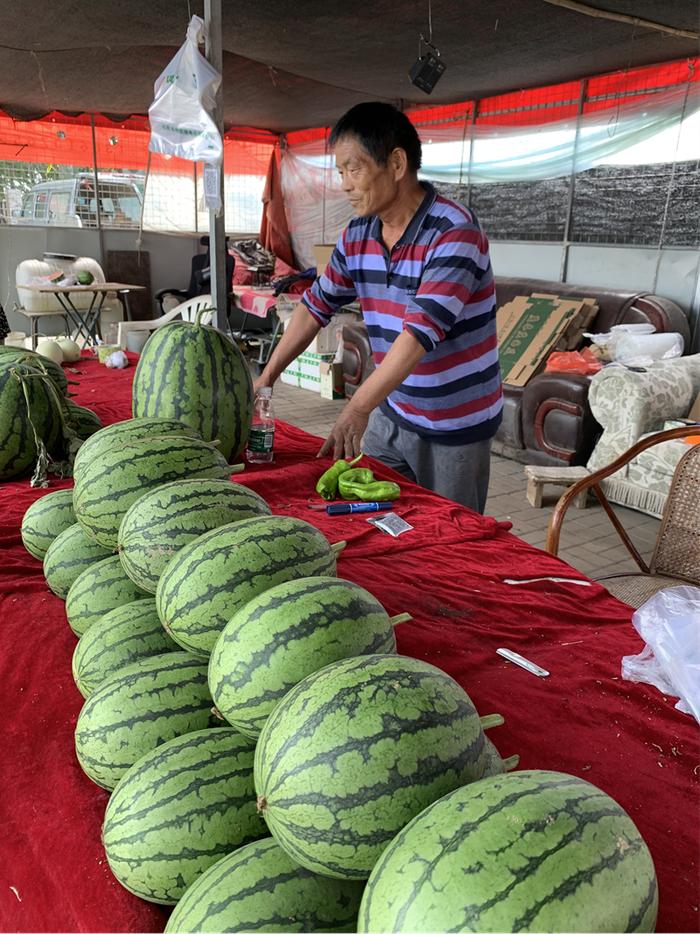 又到了吃西瓜的季节 为什么北京大兴的西瓜这么好吃？