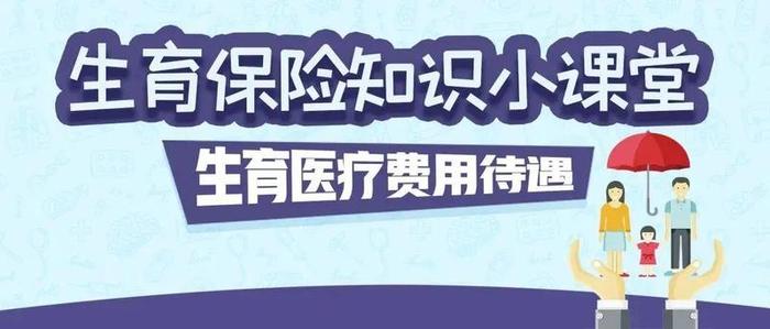 【政策解读】我市生育保险和职工基本医疗保险合并实施后，生育医疗费用待遇如何计算？