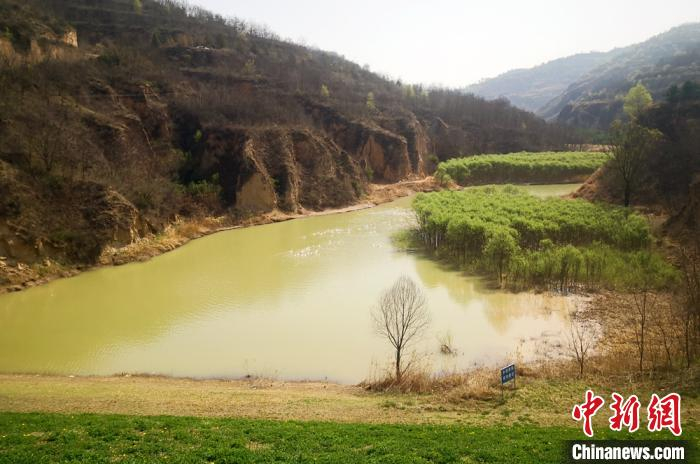 随着庆阳市“固沟保塬”工程不断推进，当地生态环境得到了明显改善。　高展 摄
