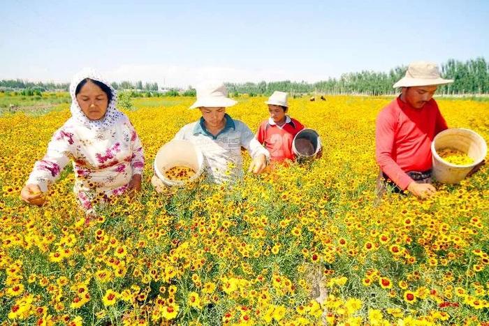 西北暖湿化调查：生态功能区向好，存冰川缩小冻土退化隐患