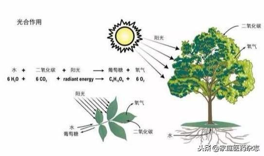 公民科学素质提升专题|没有疾病就等于健康吗？