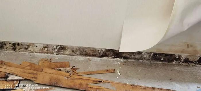 墙面反碱、地板空鼓......盐城万科精装房遭投诉