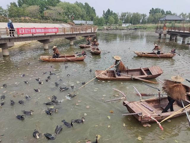 “五一”去哪玩？一条航线三大景区 运河水上一日游首航