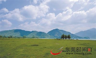 ▲罗坑大草原 罗坑旅游供图