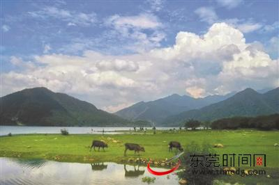 ▲韶关罗坑大草原 罗坑旅游供图