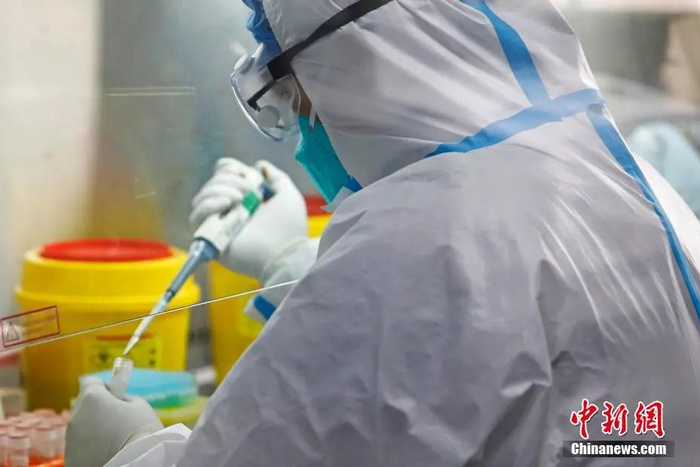 资料图：上海兰卫医学检验所工作人员正在对送来的样本进行核酸检测。殷立勤 摄