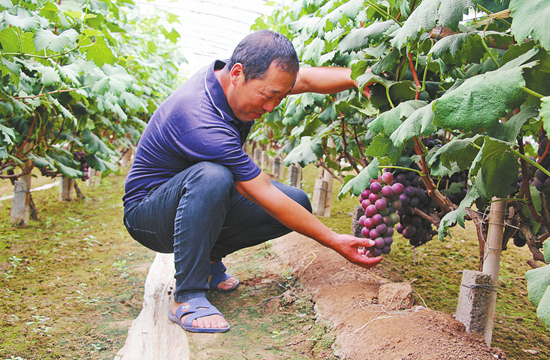 　　饶阳县支行发放“信用村 信用户”贷款助农增收