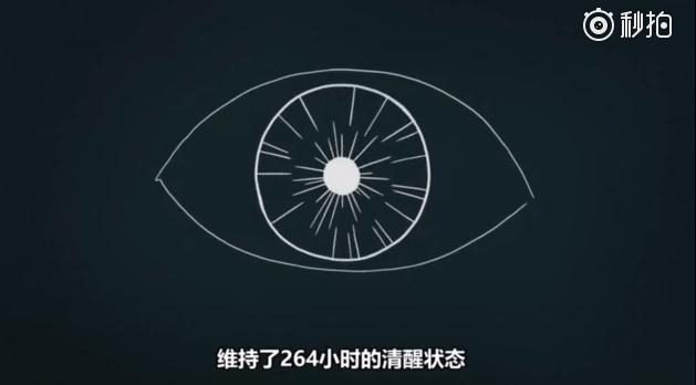 早起1小时和熬夜1小时，差距究竟有多大？