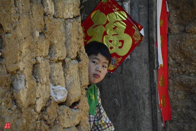 父子三人为降低生活开销，逃回深山住窝棚，孩子上学前卖3只鸡